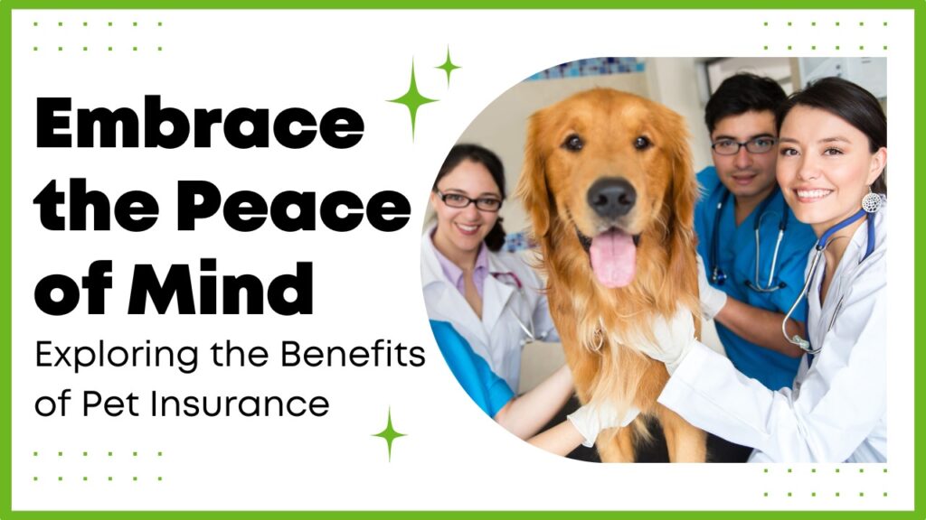 pet insurance